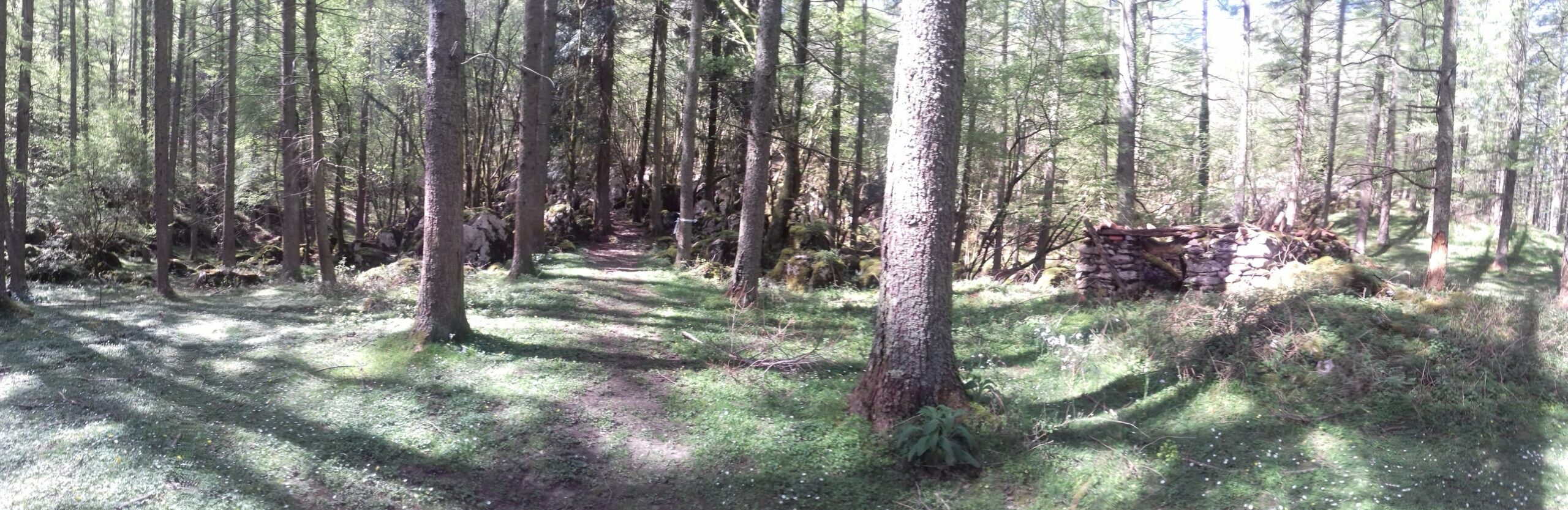 La terapia te ayudará a encontrar tu camino