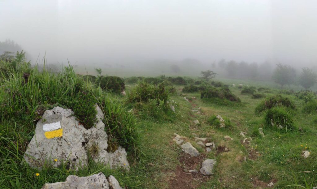 Psicología GeldiAdi en Donostia-San Sebastián