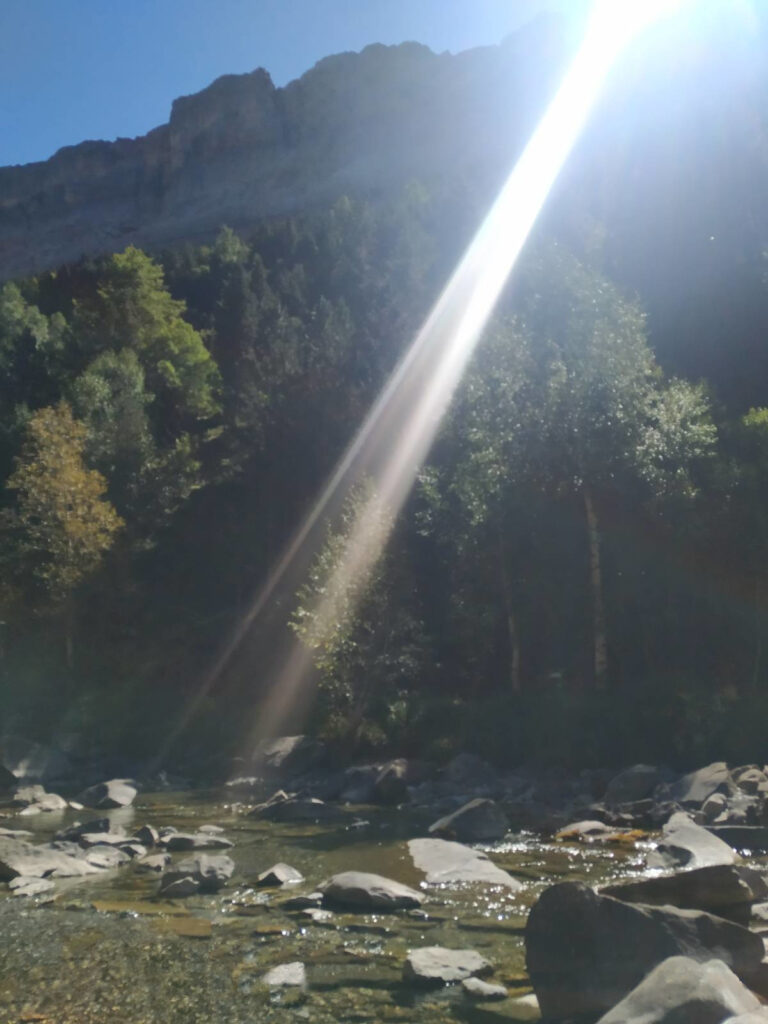 Aprende a afrontar las dificultades